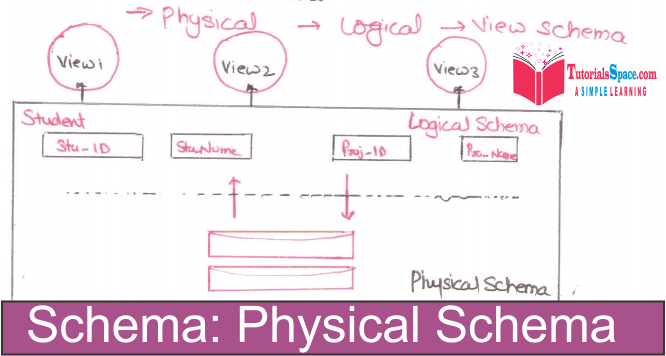 database System